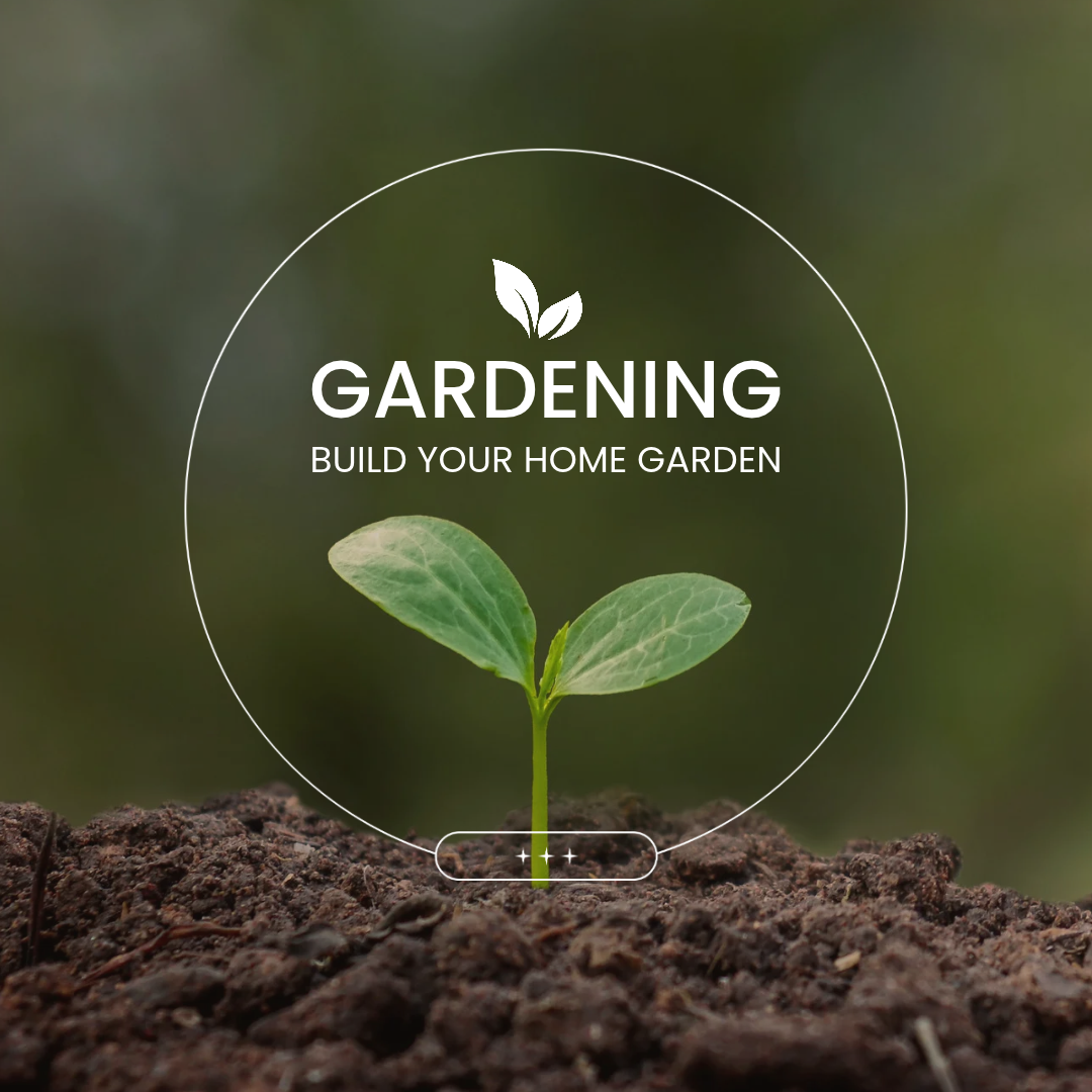 Getting Started with Gardening: A Beginner’s Guide to Growing Something Beautiful